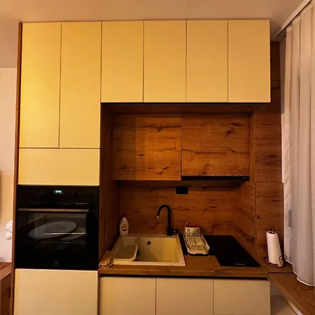 Apartment Honey 2 Zlatibor